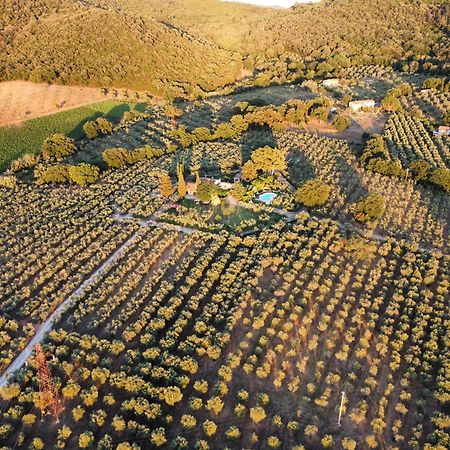 Agriturismo Podere Valdo Гаворрано Экстерьер фото
