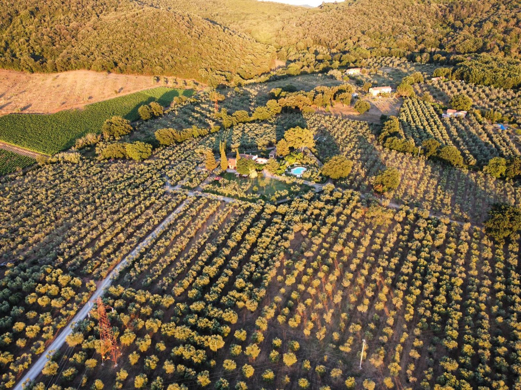Agriturismo Podere Valdo Гаворрано Экстерьер фото