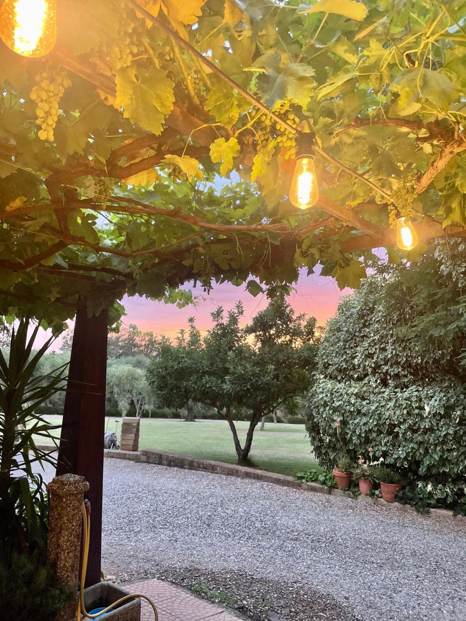 Agriturismo Podere Valdo Гаворрано Экстерьер фото