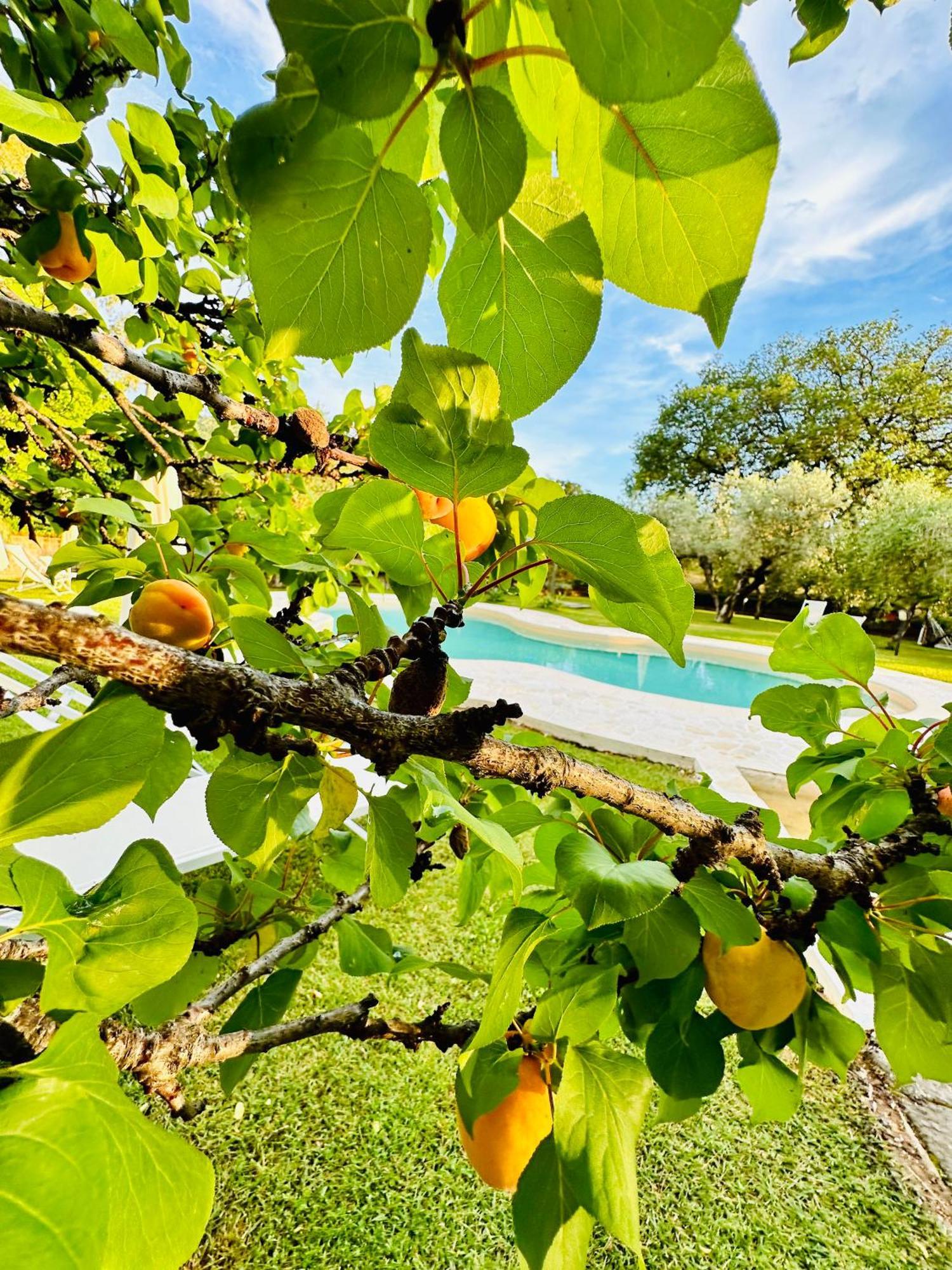 Agriturismo Podere Valdo Гаворрано Экстерьер фото